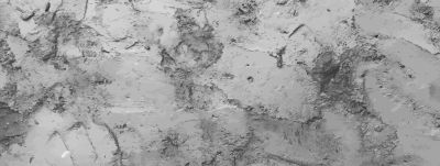 Decorative Plaster Service