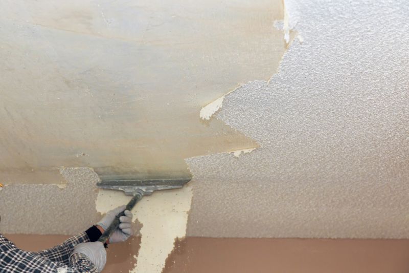 Stipple Ceiling Removal in Mesa, AZ